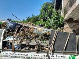 Best Hoarding Cleanup  in Lusby, MD