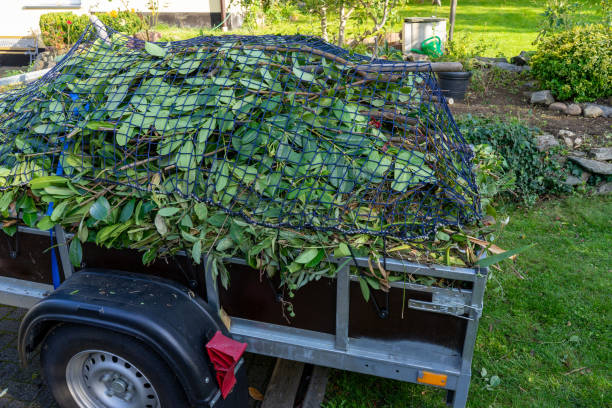 Best Carpet Removal and Disposal  in Lusby, MD